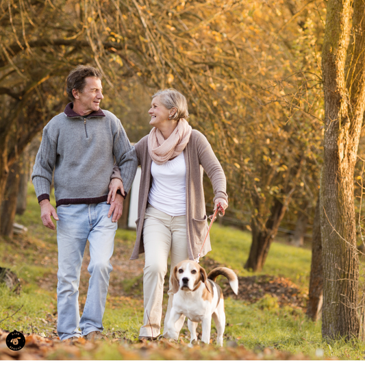man and woman walking with a beagle in the woods