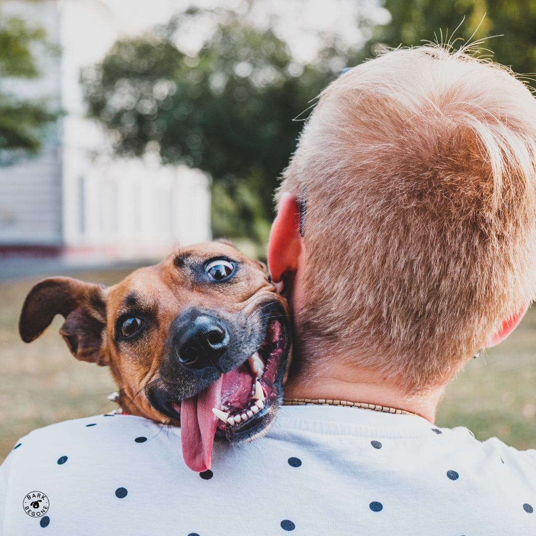brown dog with tongue out and goofy expression looking over the shoulder of a man holding him. Man has blonde hair and polka dot shirt.