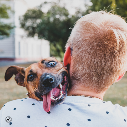 brown dog with tongue out and goofy expression looking over the shoulder of a man holding him. Man has blonde hair and polka dot shirt.