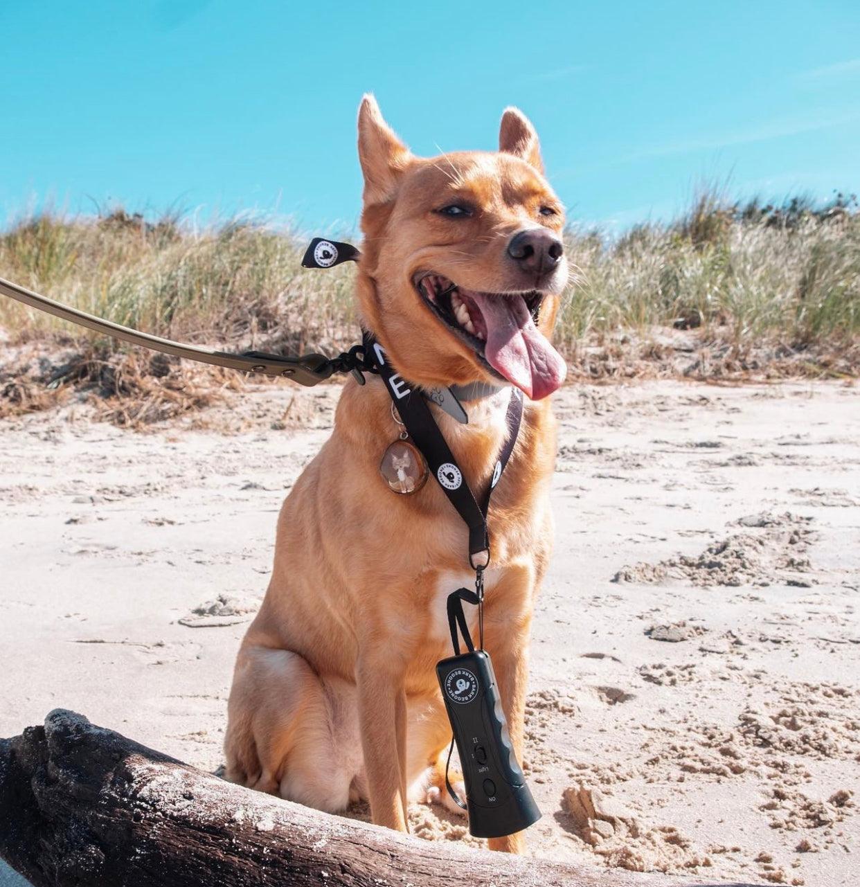 Bark Begone Dog Trainer - Bark Begone