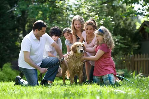 a man and woman with 4 kids around a brown dog on the lawn, petting it